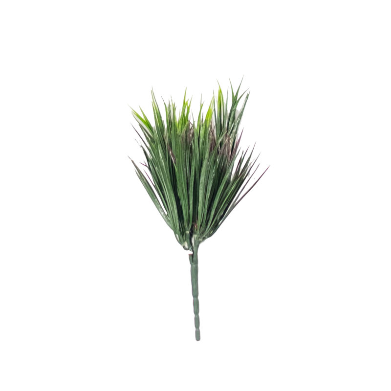 Herbe
