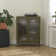 Luna 39.96'' Tall Accent Cabinet with Fluted Glass