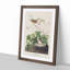 Lincoln Finch Birds by John Audubon - Picture Frame Painting Print-55617363-55617362