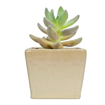 4" Ceramic Flower Planter, Ceramic Pot Planter, Plant Home Décor, White