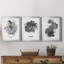 B&W d'intérieur plante I - ensemble de 3 reproductions d'art sur toile-1234909072-1234909075