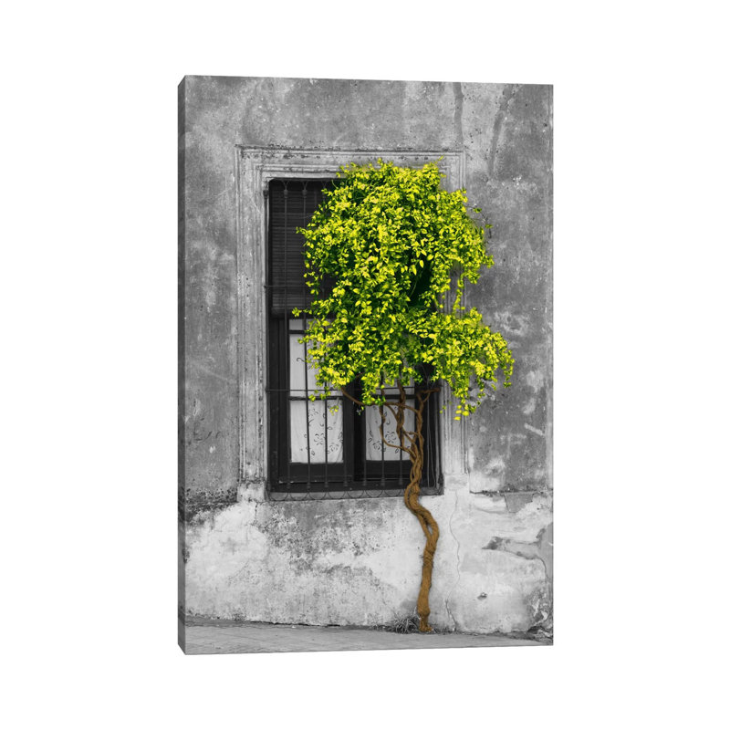 Panoramic Images - Print on Canvas, 20.32 cm H x 30.48 cm W, Wrapped Canvas