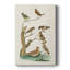 Oiseaux antiques dans la nature III - galerie Cavas sur mesure-117692229