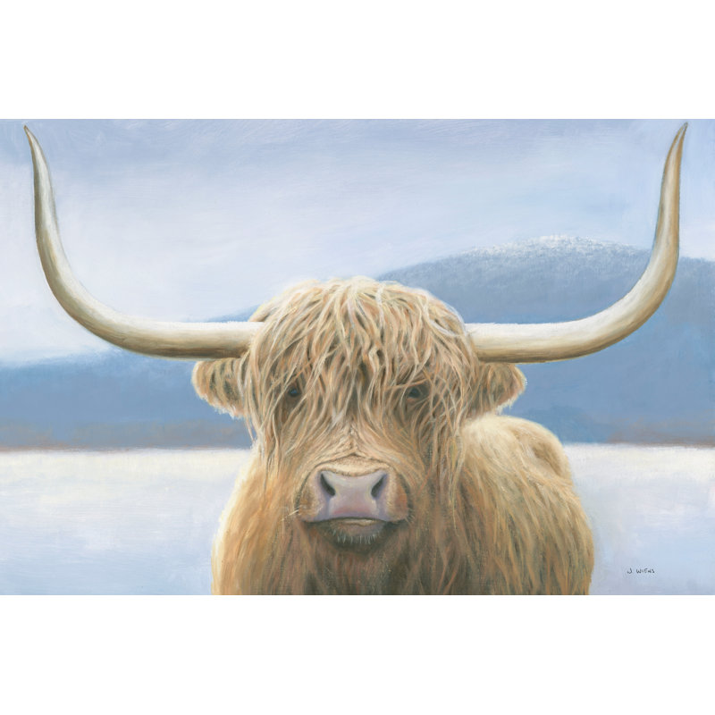 « Highland cow » par James Wiens, reproduction d’art sur toile, H 8 po x l 12 po