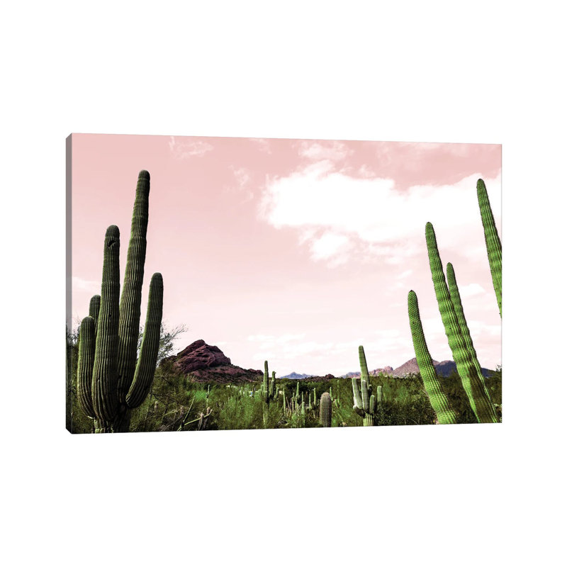 Cactus Landscape Under Pink Sky - Reproduction de photo sur toile tendue, H 26 po x l 40 po x 1,5 po