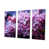 Toile tendue