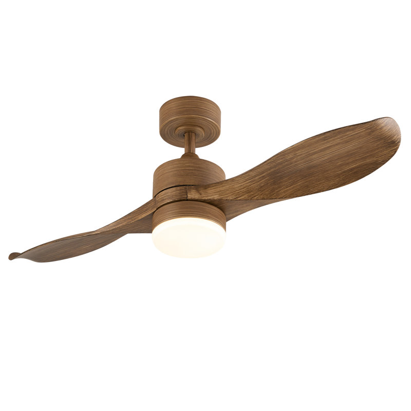Chantha 42'' Ceiling Fan with LED Lights