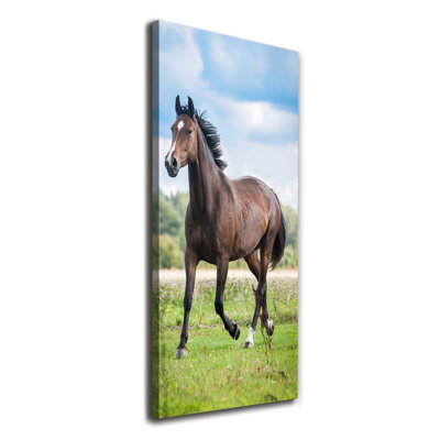 Horse On The Field - Wrapped Canvas Print