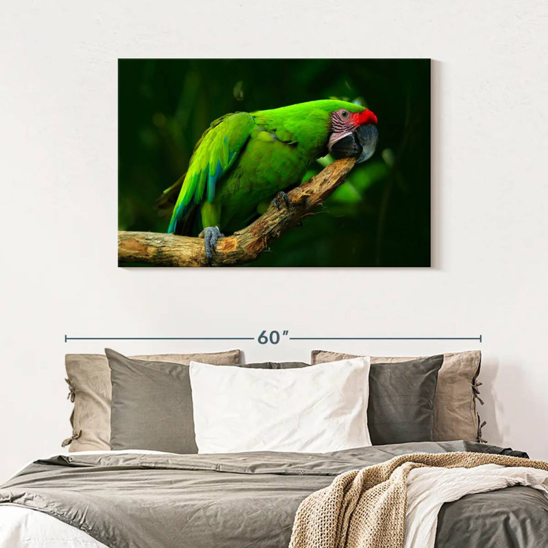 Military Macaw, 30" H x 45" W