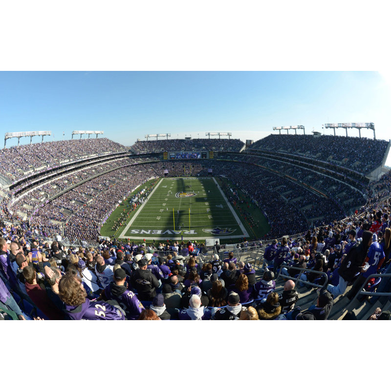 M&T Bank Stadium, H 31 po x l 48 po