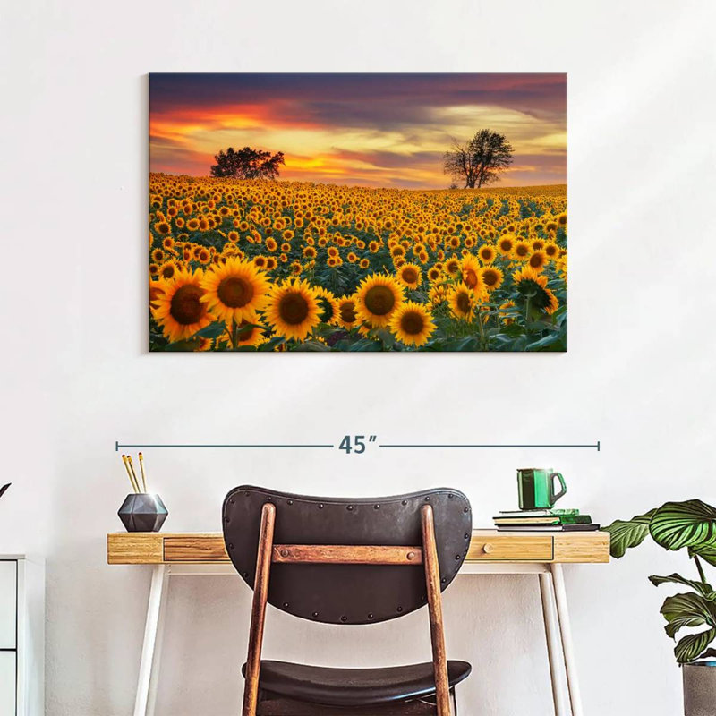 Crépuscule champ de tournesol Alvord, H 26 po x l 39 po
