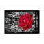 « rose po city », impression sur toile Donovan Kade-73925150-10878780-73925151