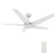 Lear 52'' Smart Ceiling Fan With Remote, Light Kit Included, Works With Google Assistant And Amazon Alexa,Siri Shortcut.