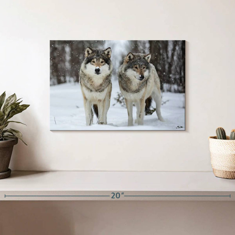 Wolves In Langedrag Nature Park, 8" H x 12" W