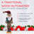 Christmas Nutcracker