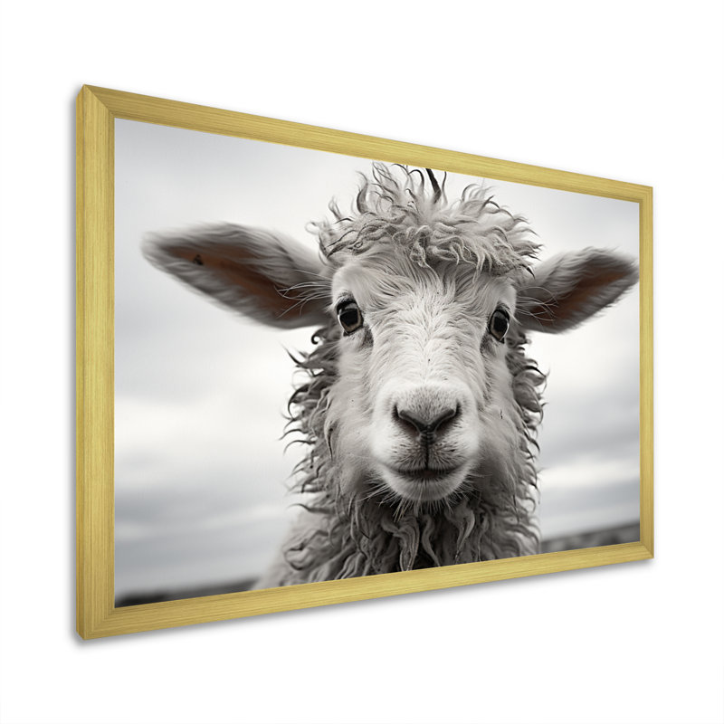 Mouton sérénité - animaux, art mural, salon, Cadre doré à une seule photo, H 34 po x l 44 po x P 1,5 po