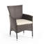 Chaises de salle à manger en osier avec coussin (ensemble de 2)