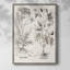 Sépia Besler Botanicals, reproduction d'art encadrée - bois massif-1261148028