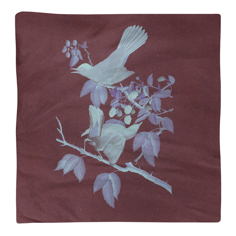 John James Audubon Cotton No Pattern Square Napkin, Maroon/Sky Blue