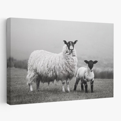 Ferme moderne avec moutons Islay I