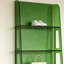 Organisateur de présentoir en acrylique vert-130116105