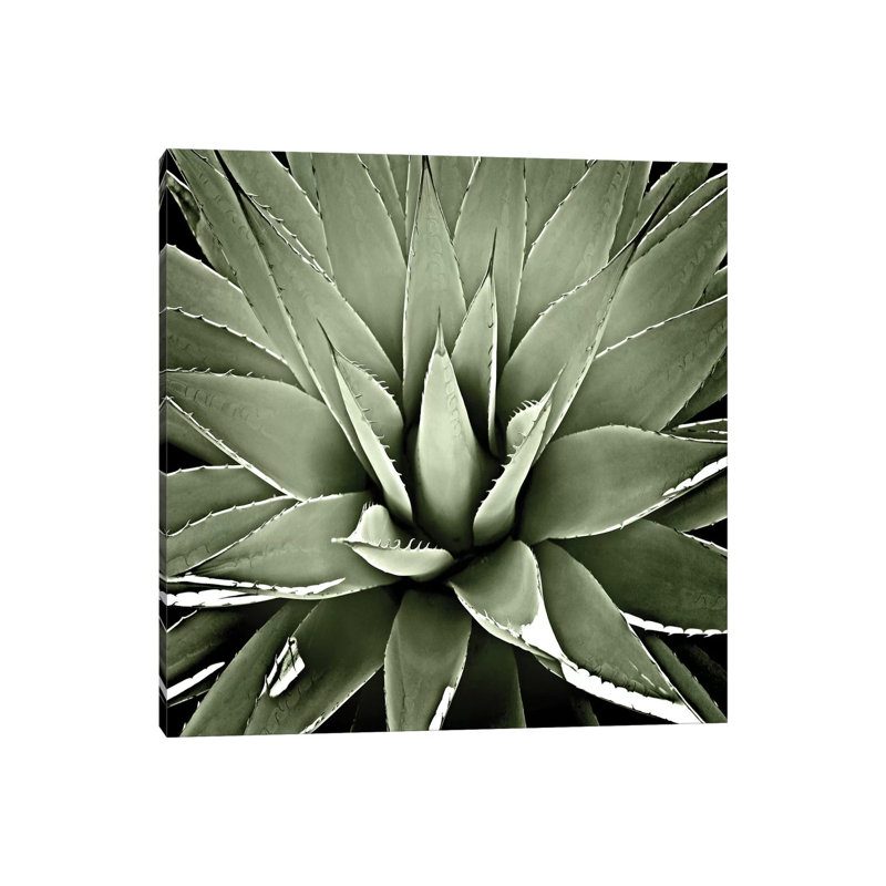 Wrapped Canvas Print, 66.04 cm H x 66.04 cm W x 1.91 cm D