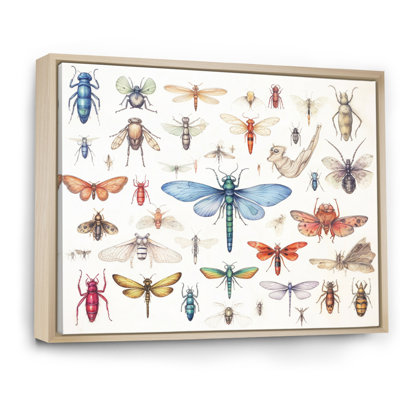 " Tiny Insect Wonders I "