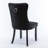Gayna Velvet Side Chair-1739262408-1739262411