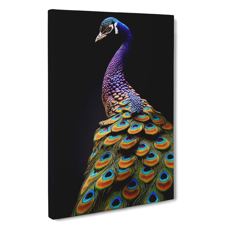 XC1022-159X A Stunning Peacock - Wrapped Canvas Print, 60cm H x 40cm W x 3cm D