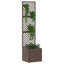 Rattan Pot Planter-638277975