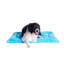 Tapis pour chien en velours doux-3848072-3848071