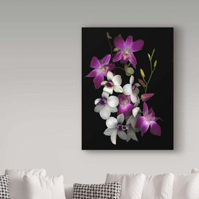 Dosta 'Dendrobium Orchids' Graphic Art Print on Wrapped Canvas, 24" H x 18" W x 2" D