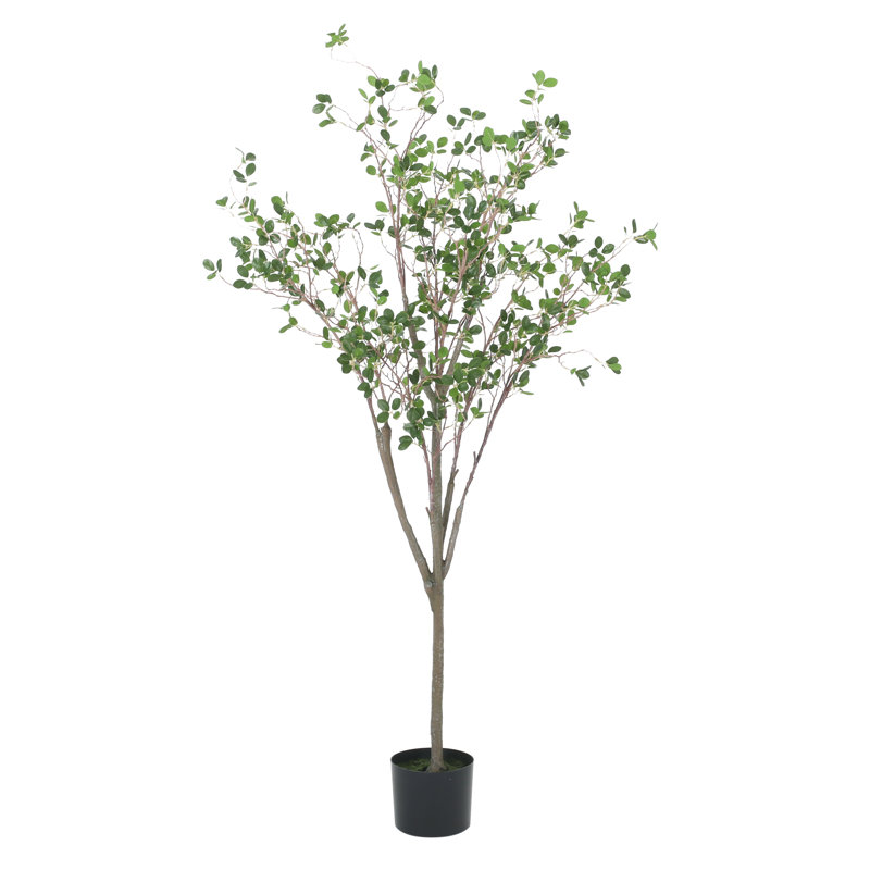 Faux Eucalyptus Tree in Pot, 59" H x 25" W x 17" D
