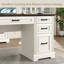 Buckhorn 58'' W Computer Desk with Outlet and 5 Drawers,Large Storage Cabinet for Home Office-175734