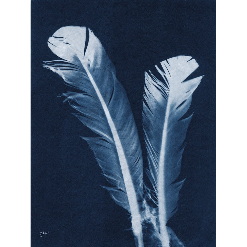 Indigo Feathers I par Julie Norkus, H 48 po x l 36 po, Impression sur toile flottante noire sans passe-pa