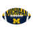 University of Michigan selected