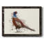 Pheasant Splash 5, peinture sur toile encadrée-1414310029-1414310033
