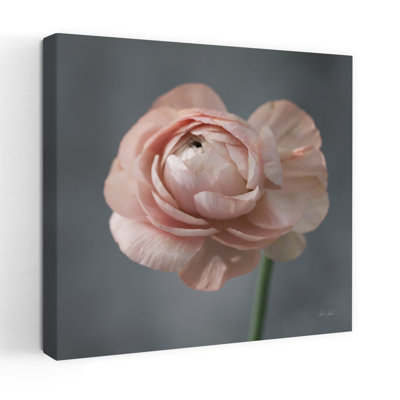Renoncule romantique, art floral contemporain