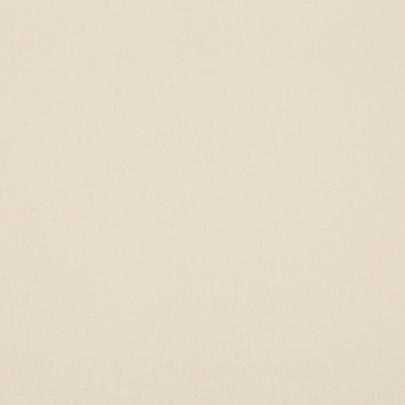 Blizzard Performance Fabric, Ivory