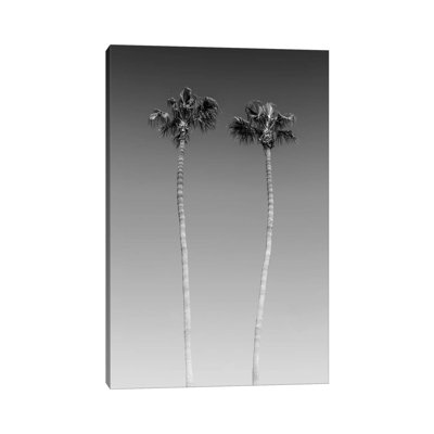 " Palm Trees In Black And White " by Melanie Viola