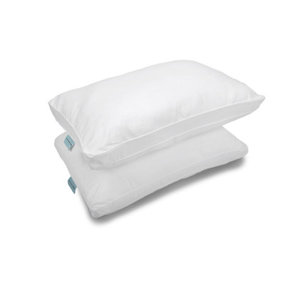 Ensemble de 2 coussins en polyester Ashley Thompson