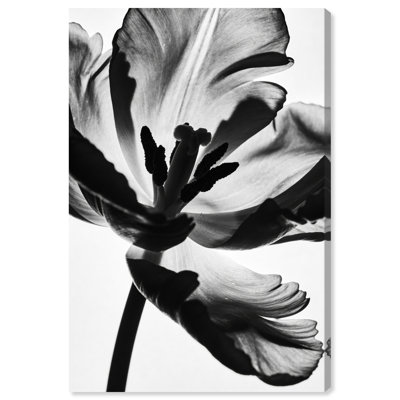 Close Up Silhouette Print by Oliver Gal