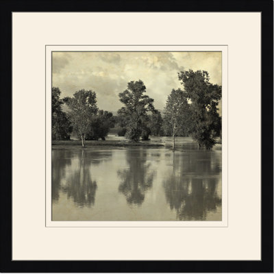 Pond Reflections II Print
