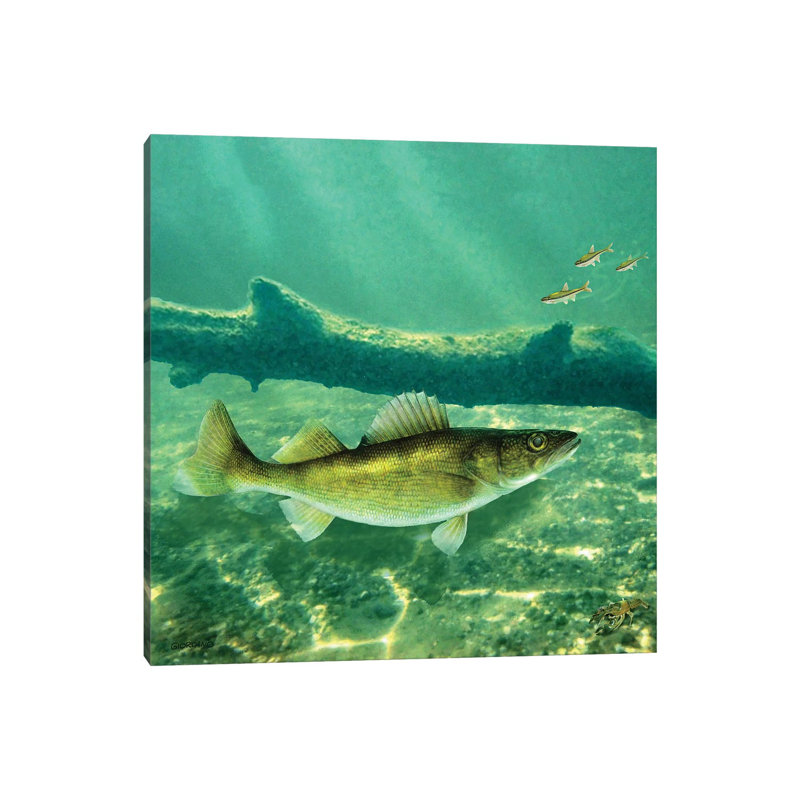Deep Water Walleye - Wrapped Canvas Print, 45.72 cm H x 45.72 cm W x 1.91 cm D