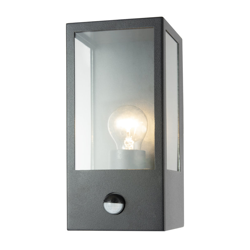 Brushed 24cm H Outdoor Wall Lantern