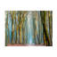 «Light and Trees» par Lars Van de Goor - photographie sur toile tendue-2141614305