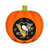 NHL Pittsburgh Penguins