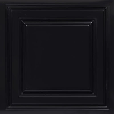 Economy Drop-In PVC Ceiling Tile