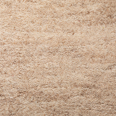Eloi Wool Hand Knotted Area Rug