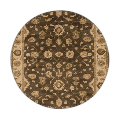 Tapis intérieur et extérieur brun Overdyed